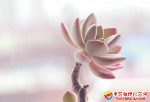 Rt(y)W(xu)Ҏ(gu)̲D(zhun)׌