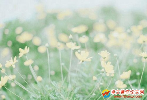 Cʡn}ڎ·