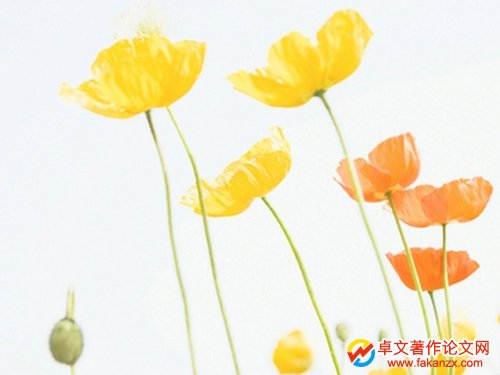 (sh)͌(zhun)ԸM(jn)ɰl(f)(zhun)