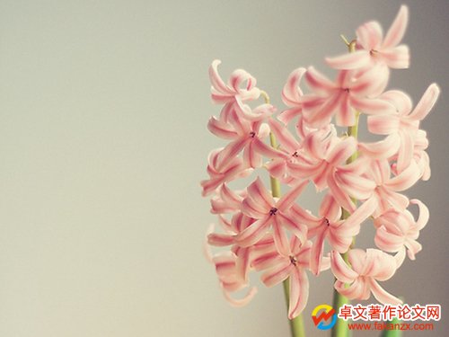 Q(chng)u(png)(zhun)Ⱥ