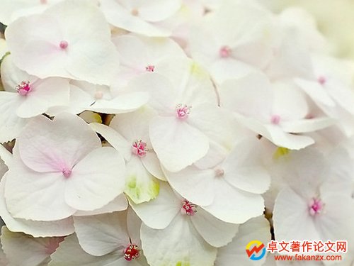 ͨ^(gu)Č(zhun)꽻M(fi)