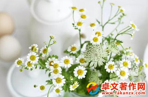 n}оӽ綨