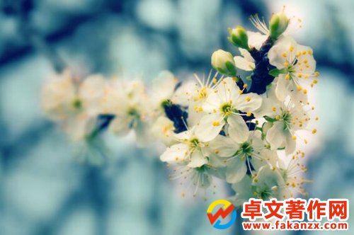 t(y)W(xu)ڎ